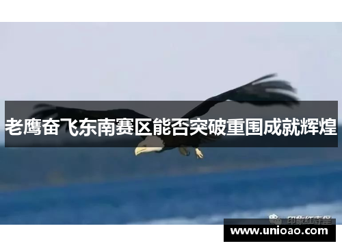 老鹰奋飞东南赛区能否突破重围成就辉煌