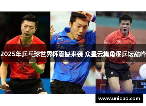 2025年乒乓球世界杯震撼来袭 众星云集角逐乒坛巅峰