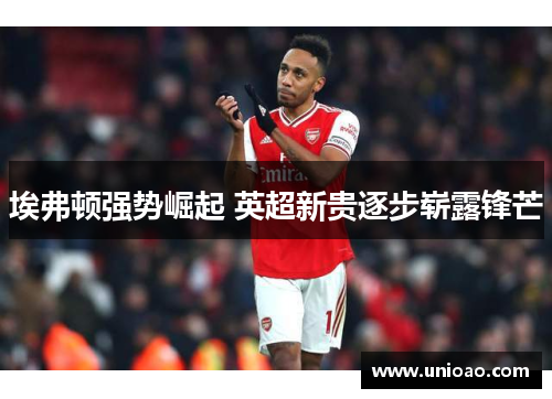 埃弗顿强势崛起 英超新贵逐步崭露锋芒