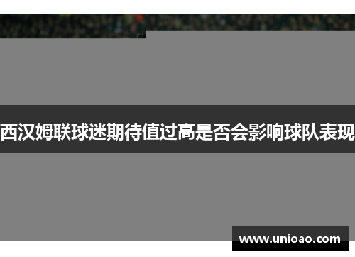 西汉姆联球迷期待值过高是否会影响球队表现